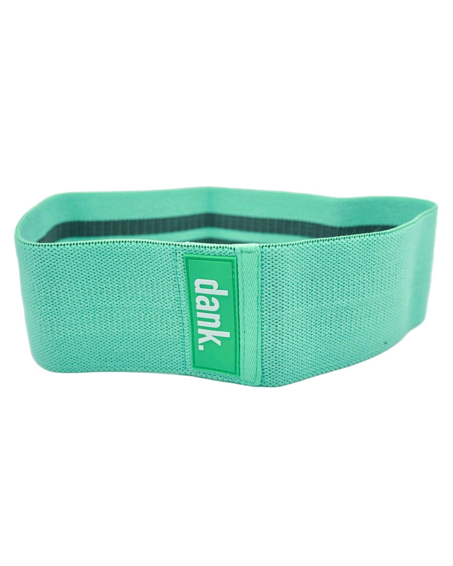 Teal Glute Band